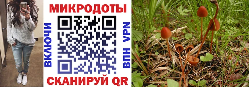 Псилоцибиновые грибы прущие грибы сколько стоит Дубовка