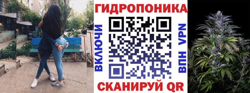 Марихуана сатива Дубовка